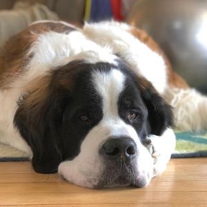 Meet your Posher, Jana